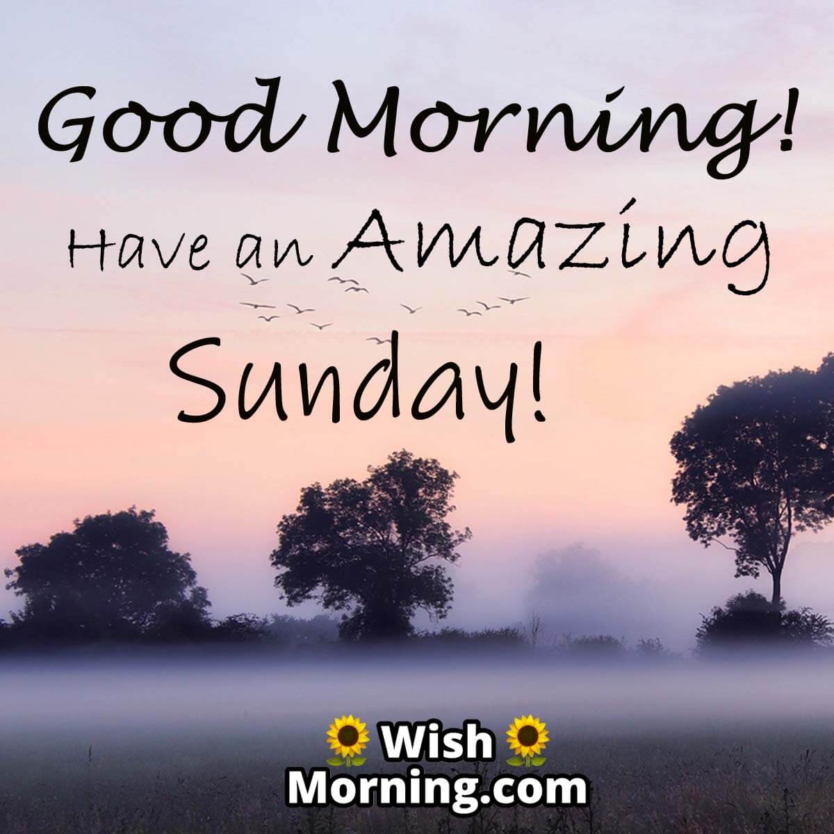 Sunday Morning Wishes - Wish Morning