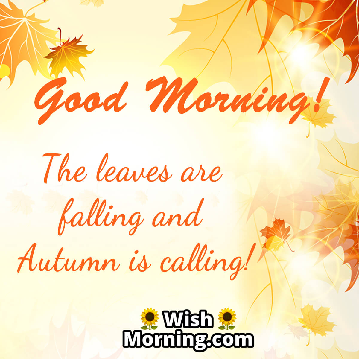 Autumn Morning Wishes Wish Morning