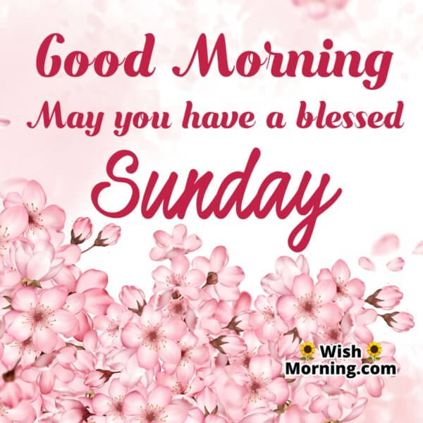 Sunday Morning Wishes - Wish Morning