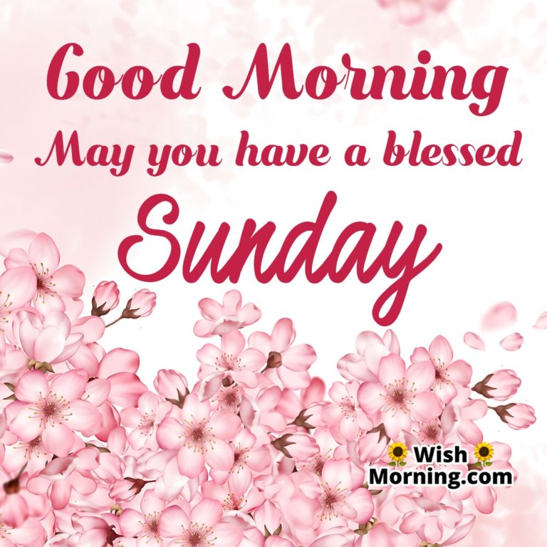 Sunday Morning Wishes - Wish Morning