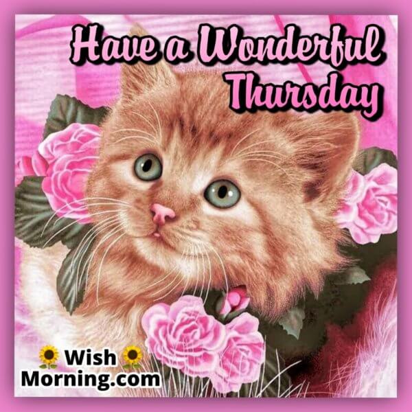 Thursday Morning Wishes - Wish Morning