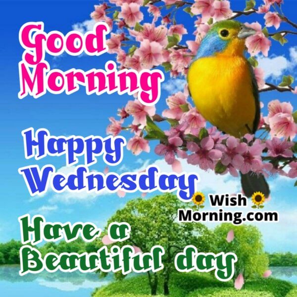 Wednesday Morning Wishes - Wish Morning