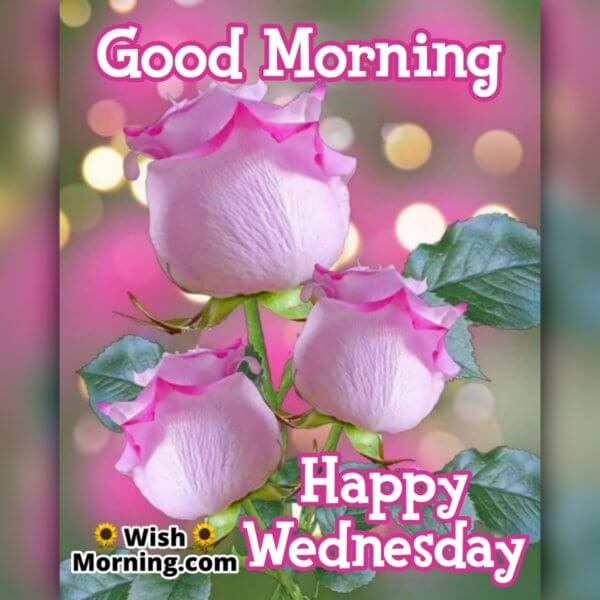 Wednesday Morning Wishes - Wish Morning