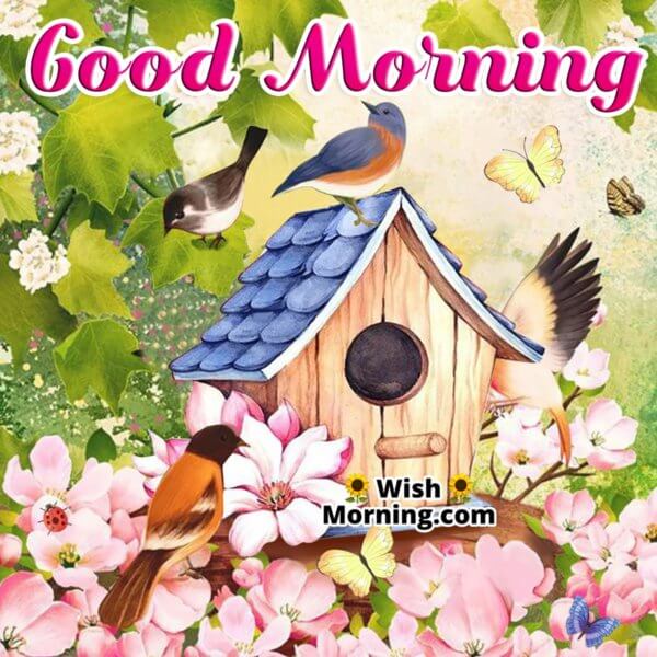 Good Morning Birds Images - Wish Morning