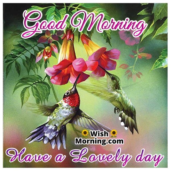 Good Morning Birds Images - Wish Morning