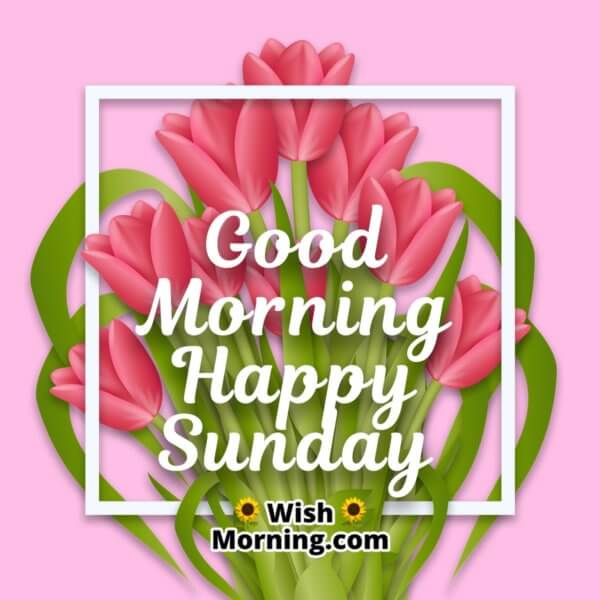 Sunday Morning Wishes - Wish Morning