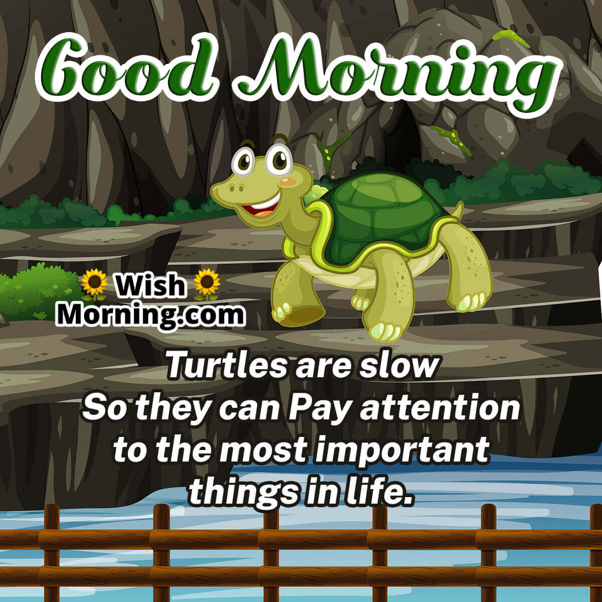 Cute Turtle Pictures Quotes