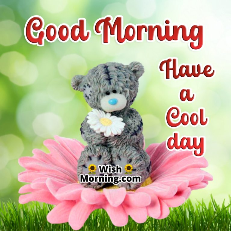 Good Morning Teddy Cards - Wish Morning