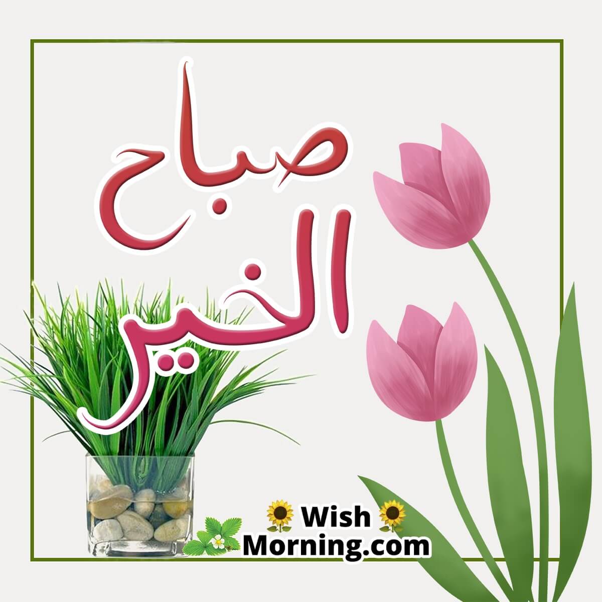 Good Morning Arabic Wishes - Wish Morning