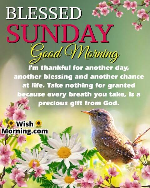 Best Sunday Morning Quotes Wishes - Wish Morning