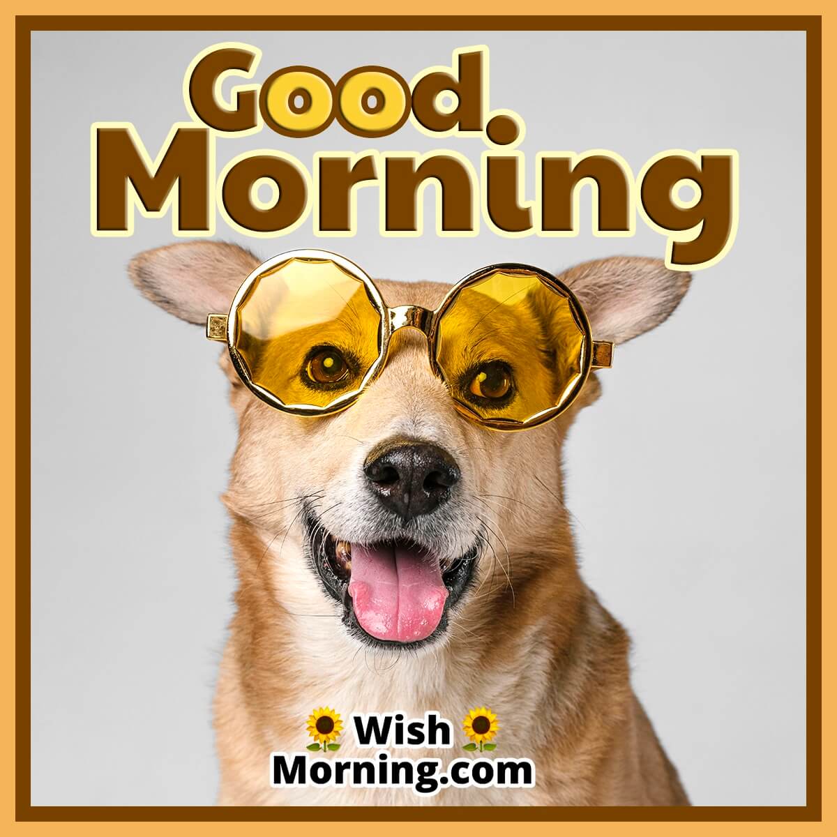 Top 999+ good morning dog images – Amazing Collection good morning dog ...