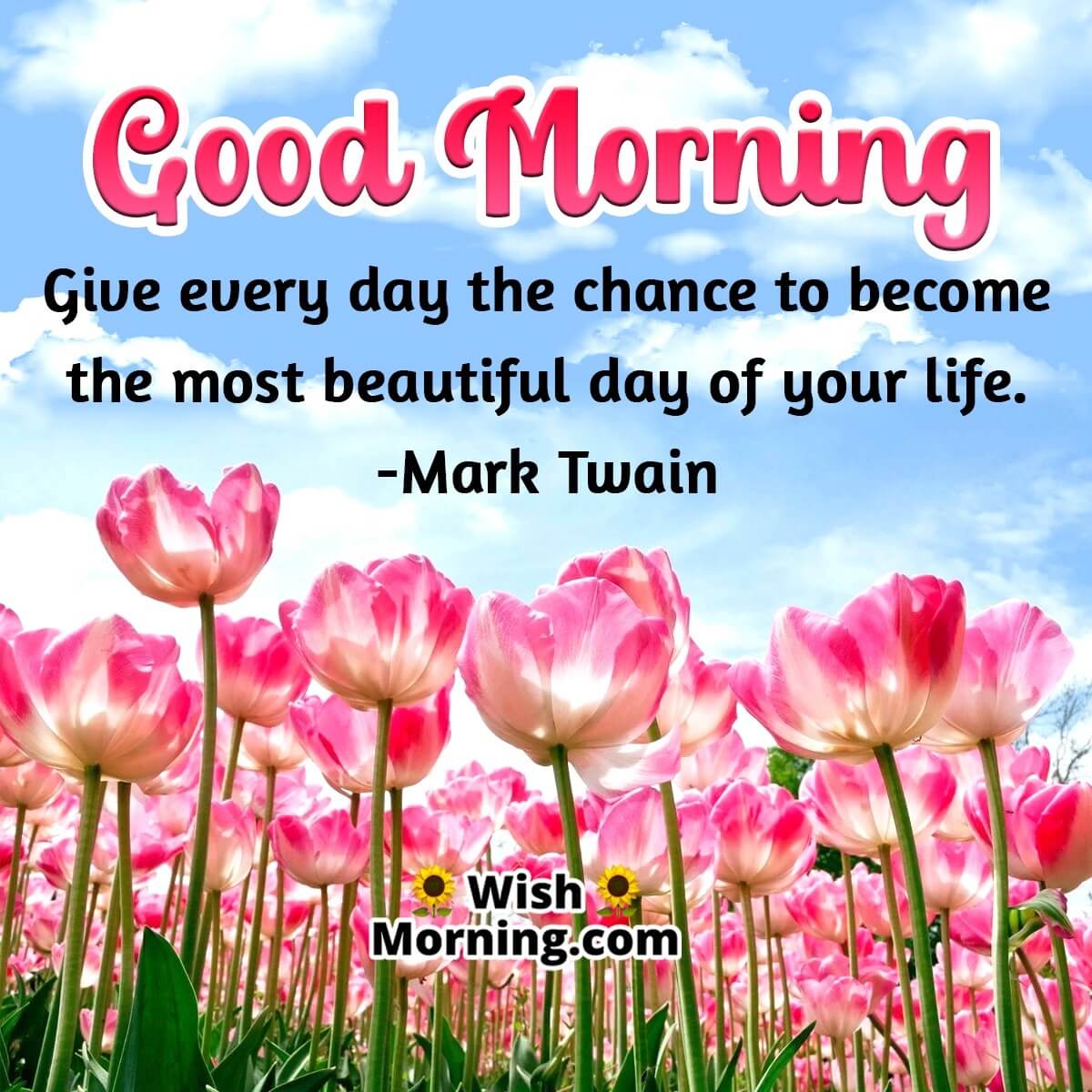 Beautiful Good Morning Quotes - Wish Morning