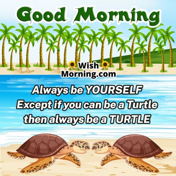 Good Morning Tortoise Images - Wish Morning