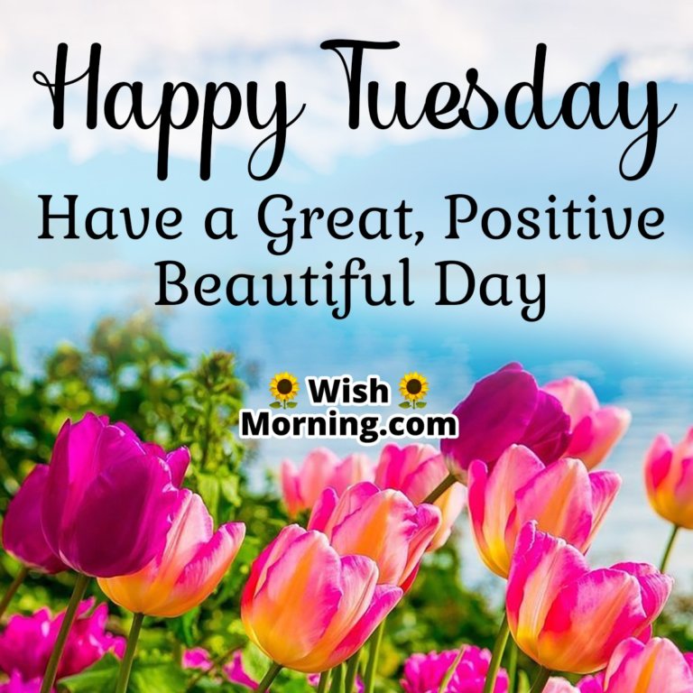 Tuesday Morning Wishes - Wish Morning