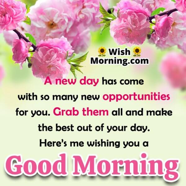 Beautiful Good Morning Quotes - Wish Morning