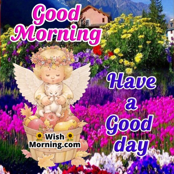 Good Morning Angel Images - Wish Morning