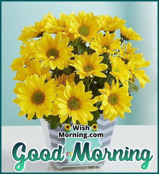 Good Morning Flower Bouquet Images - Wish Morning