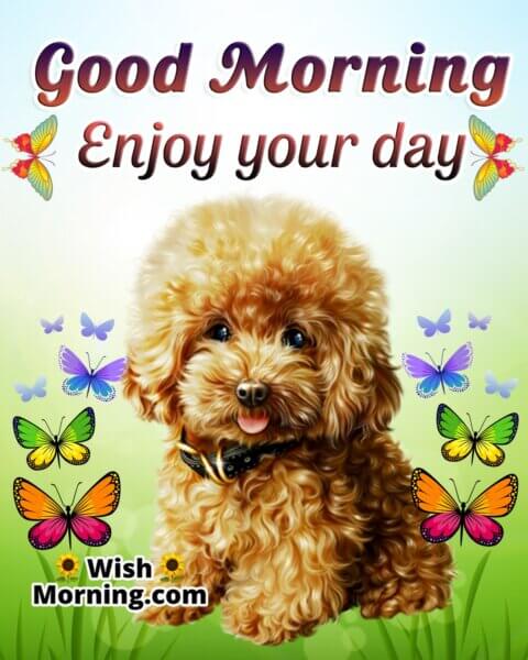 Good Morning Dog Images - Wish Morning