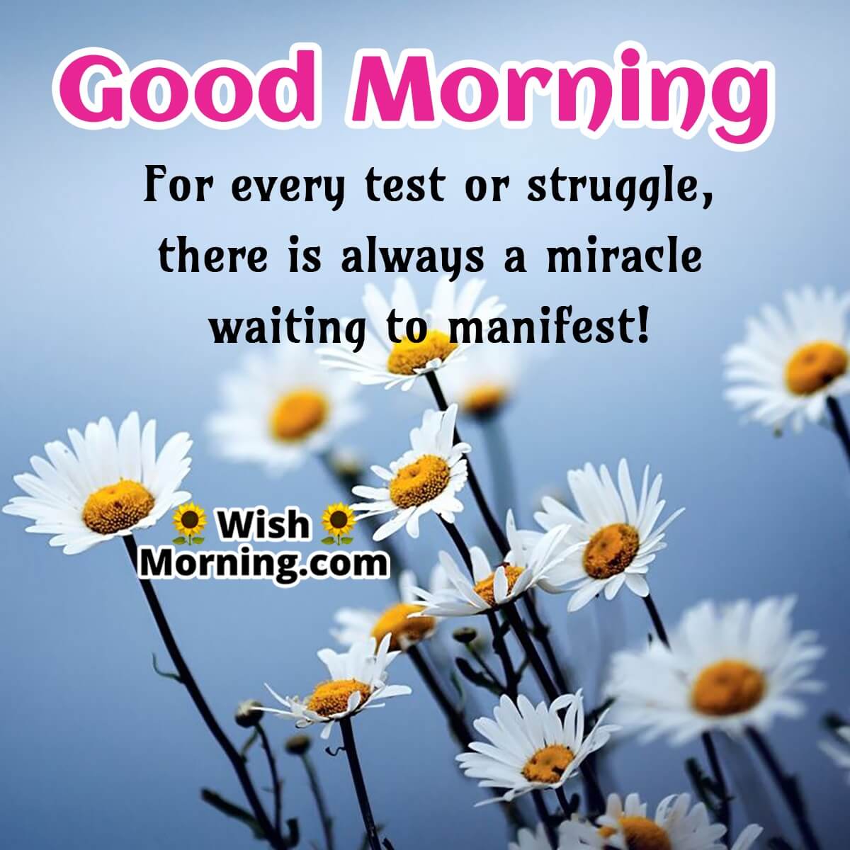 Beautiful Good Morning Quotes - Wish Morning