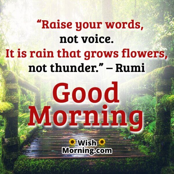 Good Morning Rumi Quotes Wish Morning