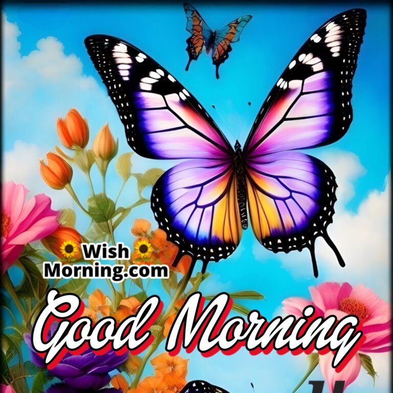 Good Morning Butterfly Images - Wish Morning