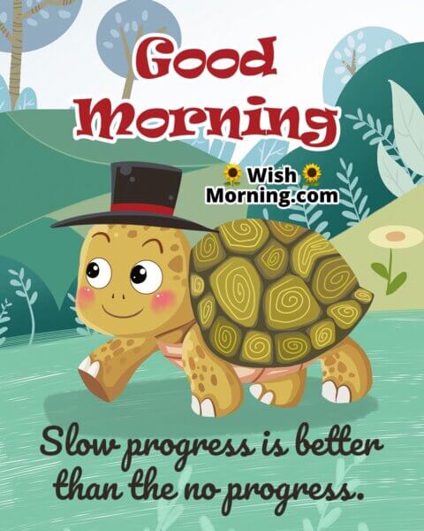 Good Morning Tortoise Images - Wish Morning