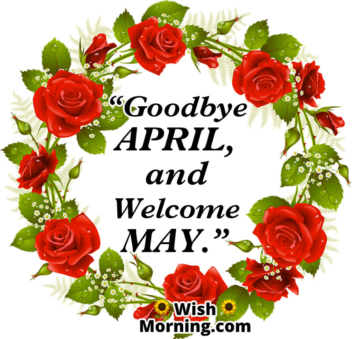 May Month Wishes Wish Morning