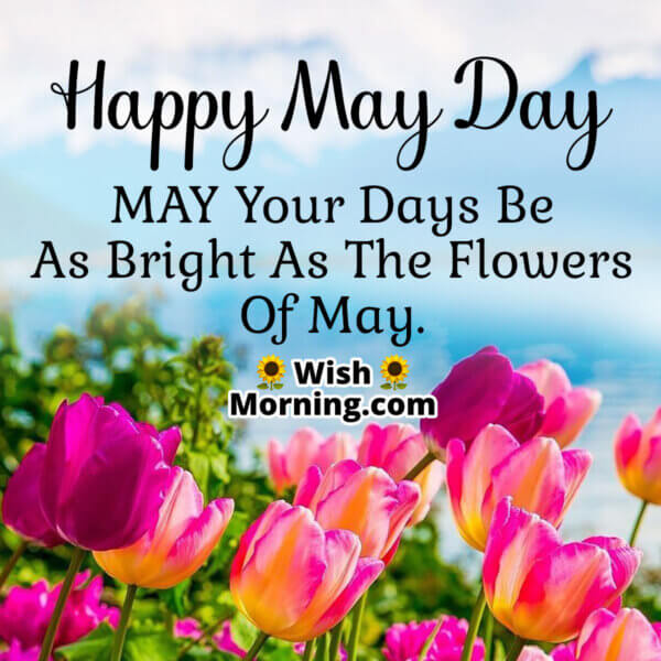 May Month Wishes - Wish Morning