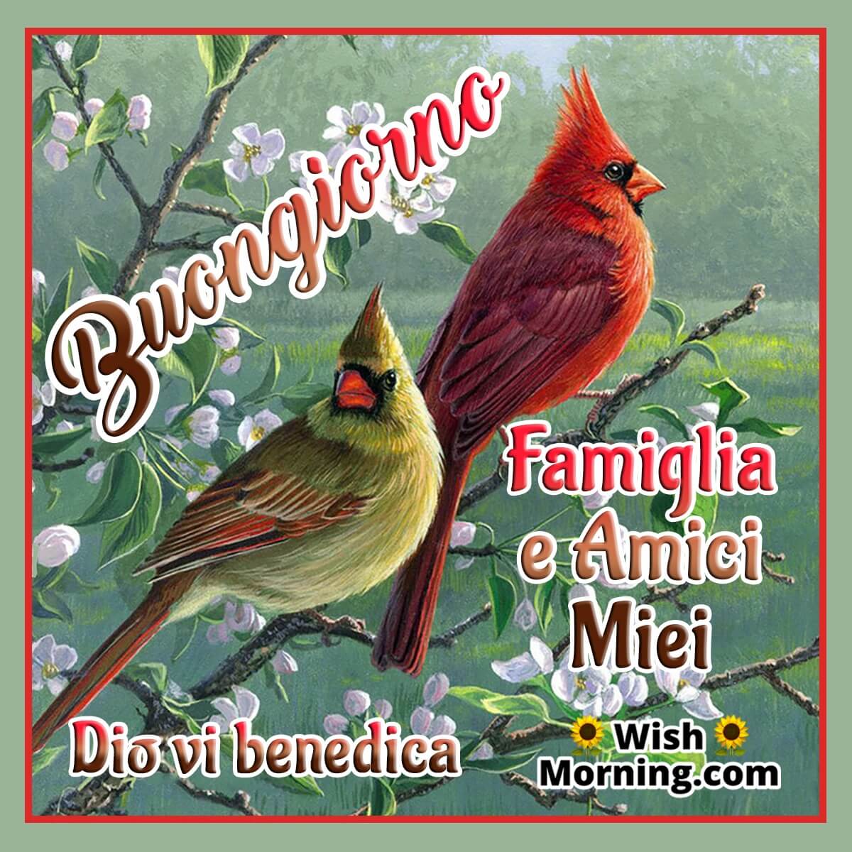 Buongiorno Famiglia E Amici Miei