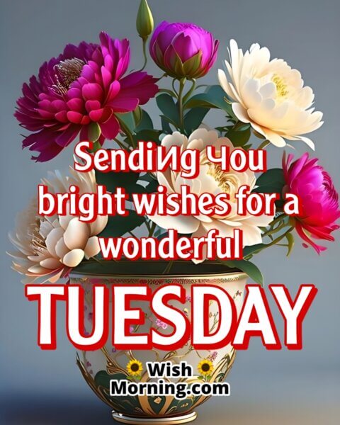 Tuesday Morning Wishes - Wish Morning