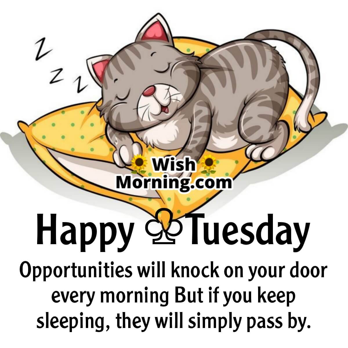 happy tuesday quotes for facebook