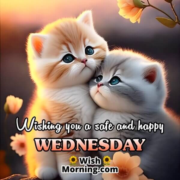 Wednesday Morning Wishes - Wish Morning