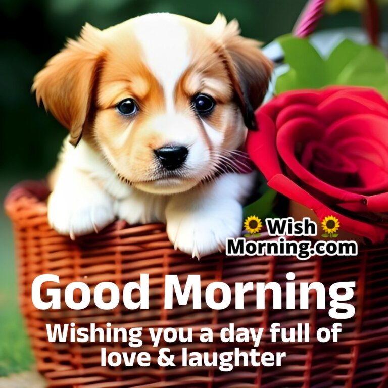 Good Morning Dog Images - Wish Morning