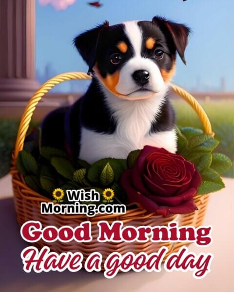 Good Morning Dog Images - Wish Morning