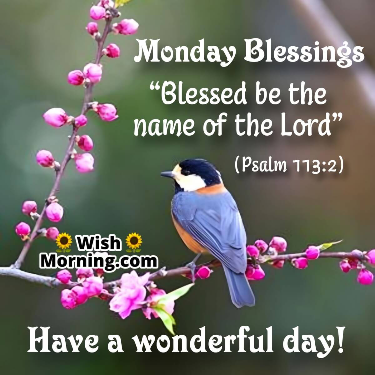 monday blessing quotes