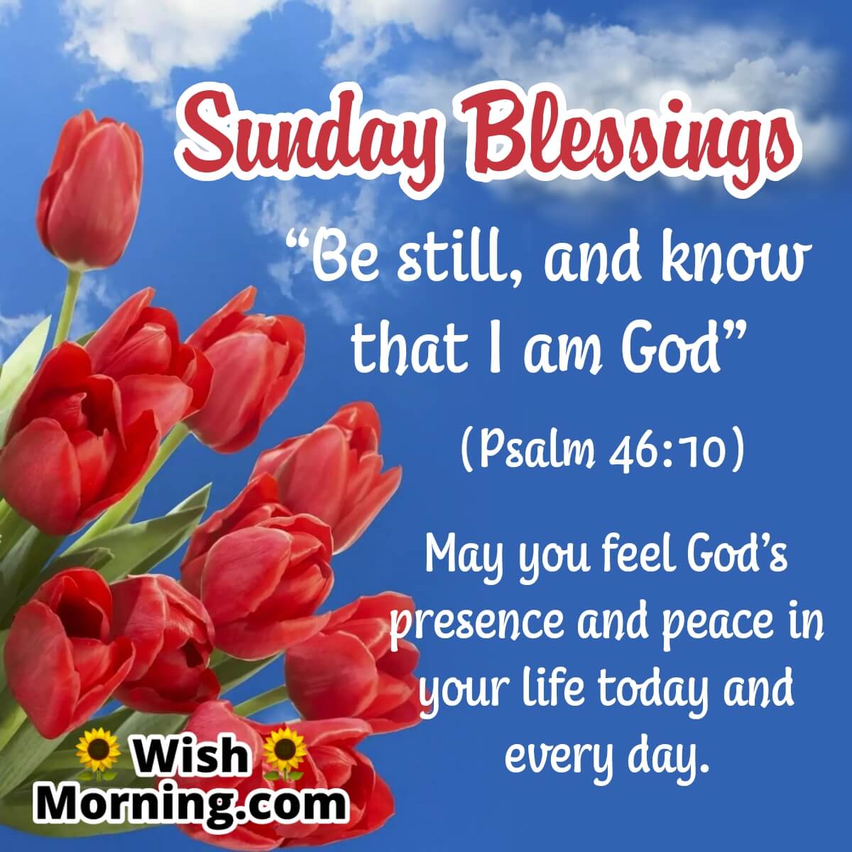 Sunday Blessing