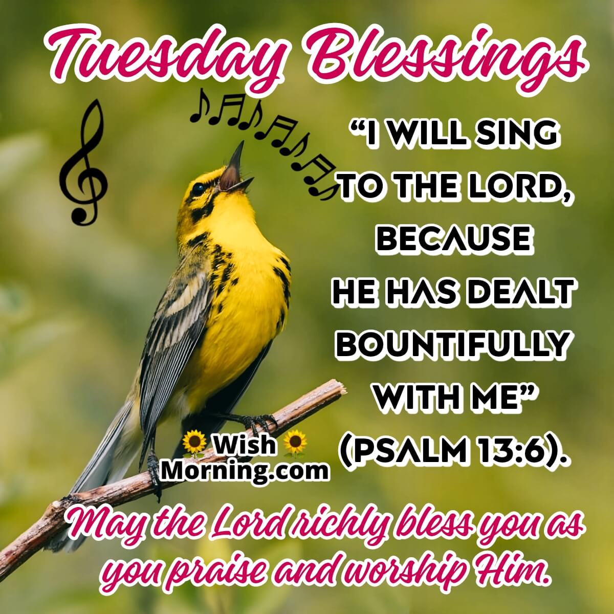 blessed tuesday morning