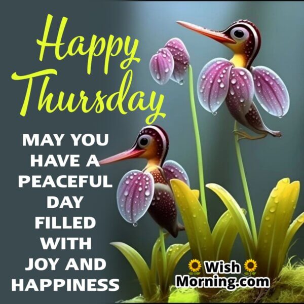 Thursday Morning Wishes - Wish Morning