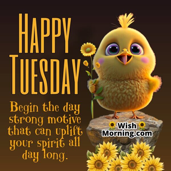 Tuesday Morning Wishes - Wish Morning