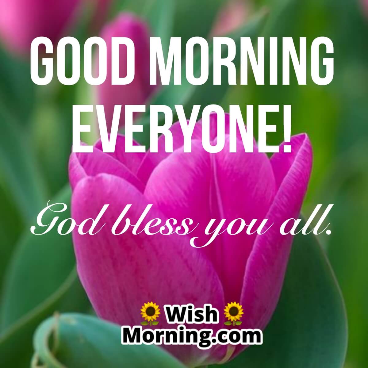 Good Morning God Bless You All