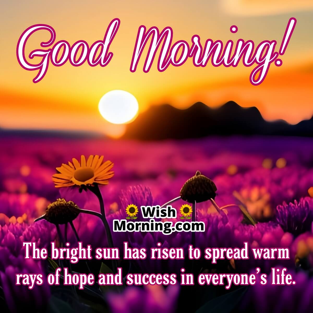 Good Morning Wishes - Wish Morning