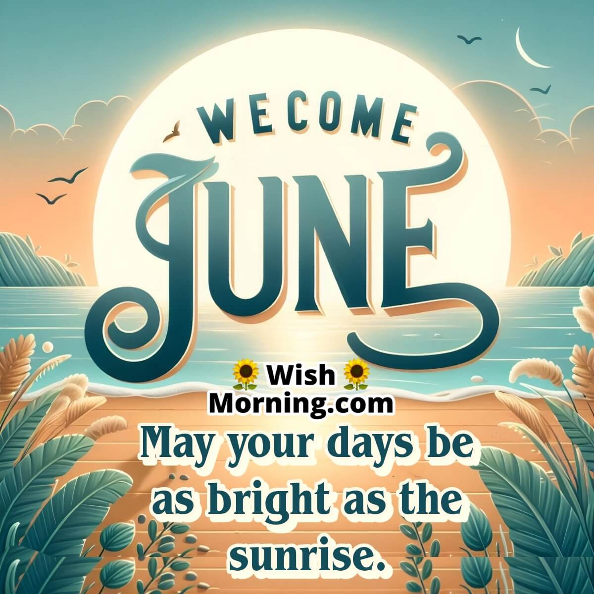 Good Morning June Sunrise Joy