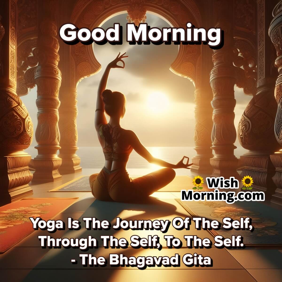 Yoga Journey Morning Self Exploration