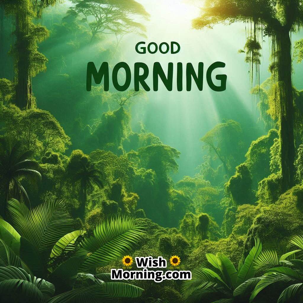 Good Morning Jungle Awakening