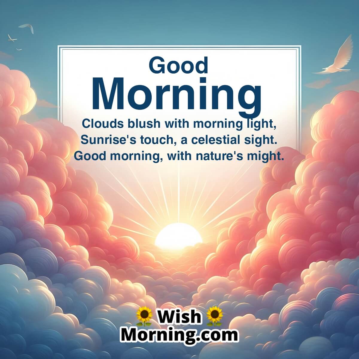 Good Morning Sunrise Greets With Blushing Clouds