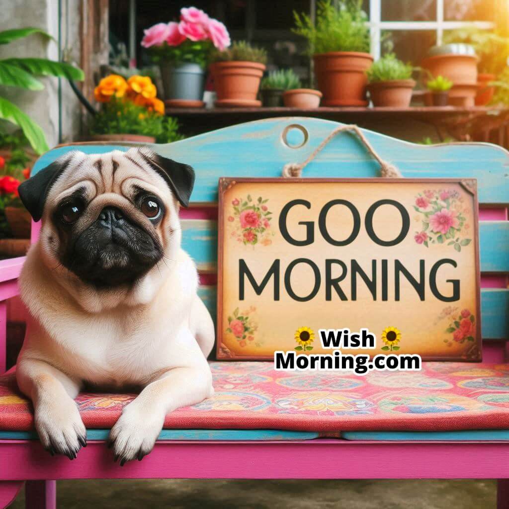 Good Morning Pug In Garden