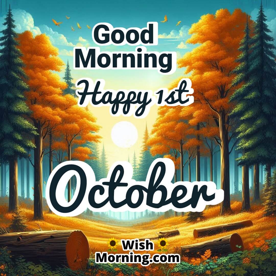 Good Morning Happy 1st October Misty Forest Image