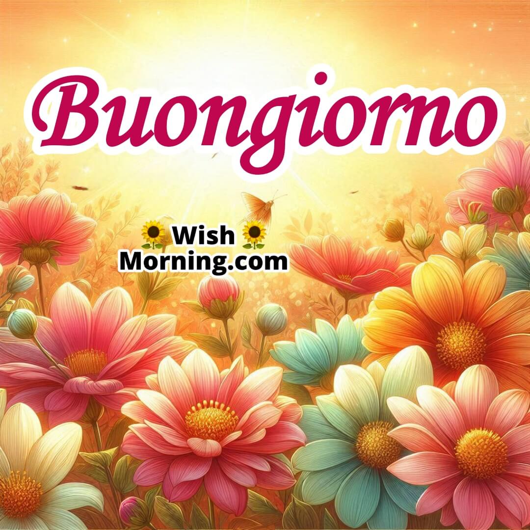 Buongiorno text With Flowers 