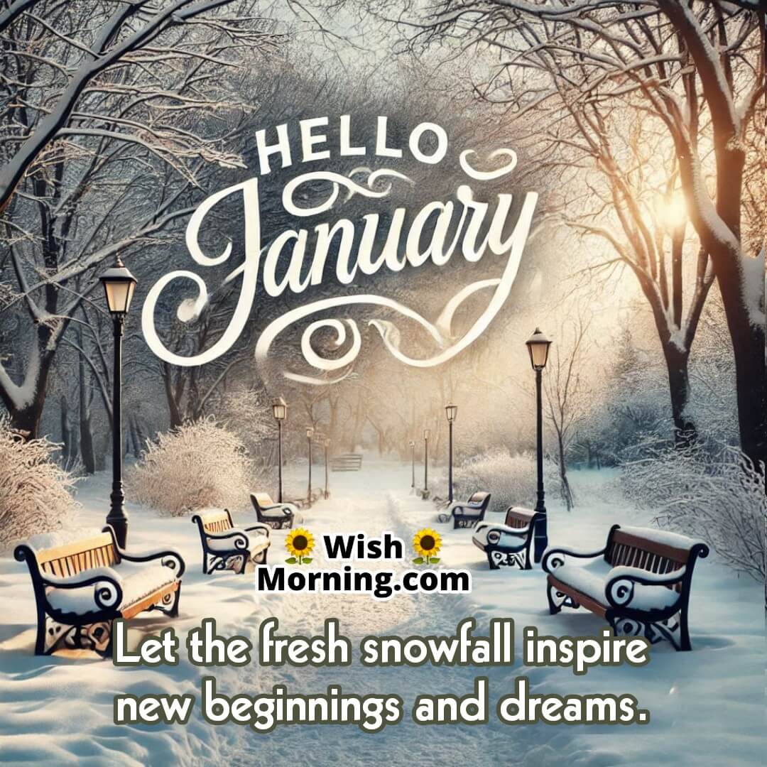 Fresh snow on the ground with snowflakes falling, featuring Hello January in an inspiring font.