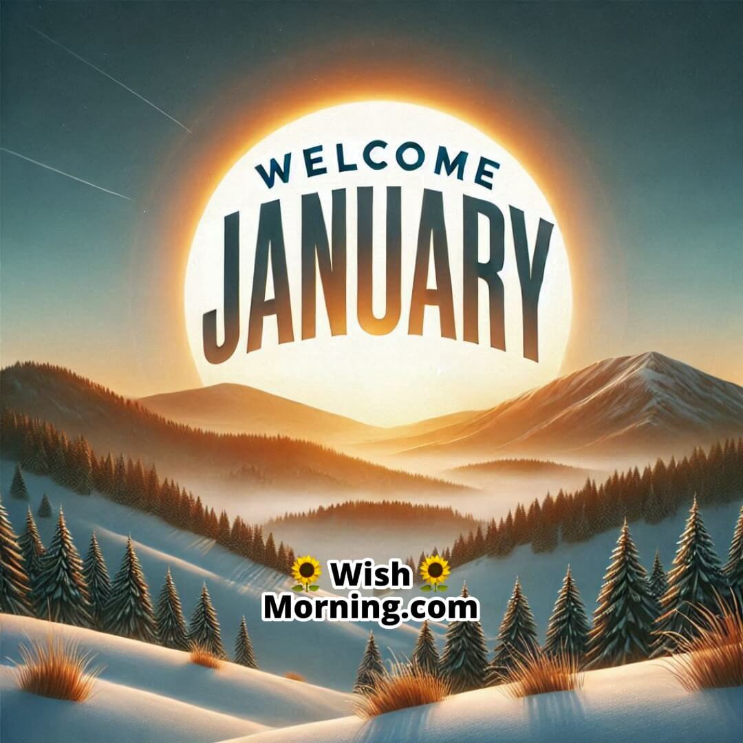 Welcome January Sunrise Image